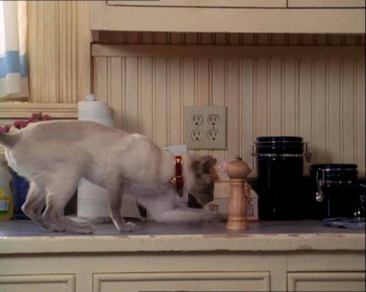 Charmed-Online-dot-net_122DejaVuAllOverAgain1501.jpg Charmed-Online-dot-net_122DejaVuAllOverAgain1501.jpg