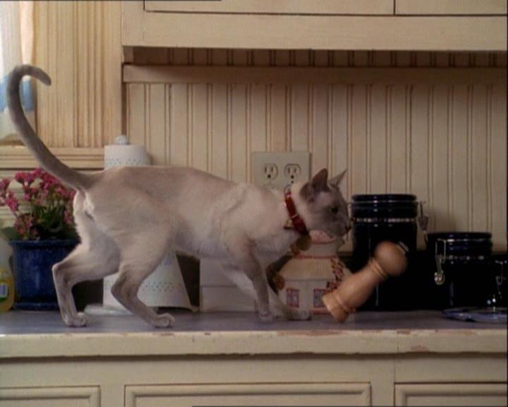 Charmed-Online-dot-net_122DejaVuAllOverAgain1502.jpg Charmed-Online-dot-net_122DejaVuAllOverAgain1502.jpg