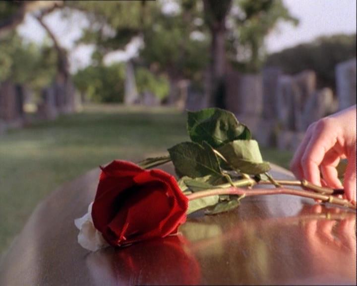 Charmed-Online-dot-net_122DejaVuAllOverAgain2231.jpg Charmed-Online-dot-net_122DejaVuAllOverAgain2231.jpg