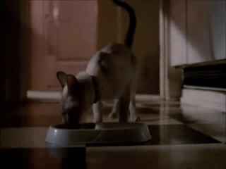 Charmed-Online-dot-net_Charmed-1x00UnairedPilot-0047.jpg Charmed-Online-dot-net_Charmed-1x00UnairedPilot-0047.jpg