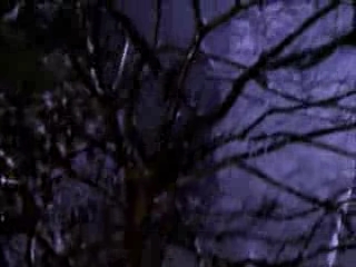 Charmed-Online-dot-net_Charmed-1x00UnairedPilot-0842.jpg Charmed-Online-dot-net_Charmed-1x00UnairedPilot-0842.jpg