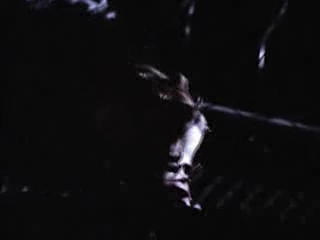 Charmed-Online-dot-net_Charmed-1x00UnairedPilot-1630.jpg Charmed-Online-dot-net_Charmed-1x00UnairedPilot-1630.jpg