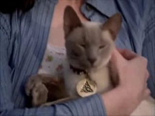 Charmed-Online-dot-net_Charmed-1x00UnairedPilot-1840.jpg Charmed-Online-dot-net_Charmed-1x00UnairedPilot-1840.jpg