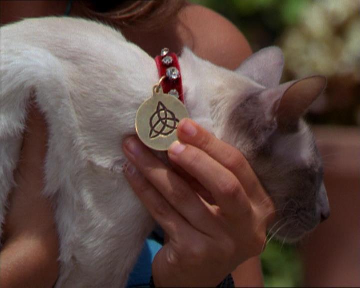 Charmed-Online_dot_net-2x01WitchTrial1118.jpg Charmed-Online_dot_net-2x01WitchTrial1118.jpg