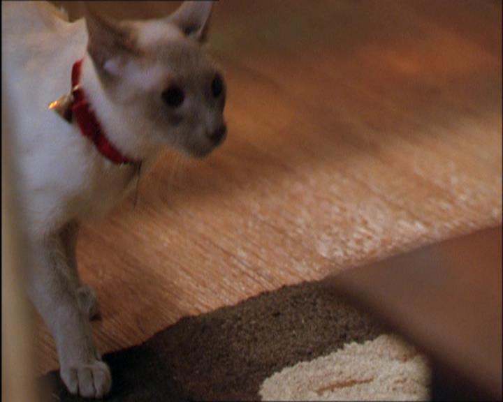 Charmed-Online_dot_net-2x03ThePaintedWorld1800.jpg Charmed-Online_dot_net-2x03ThePaintedWorld1800.jpg