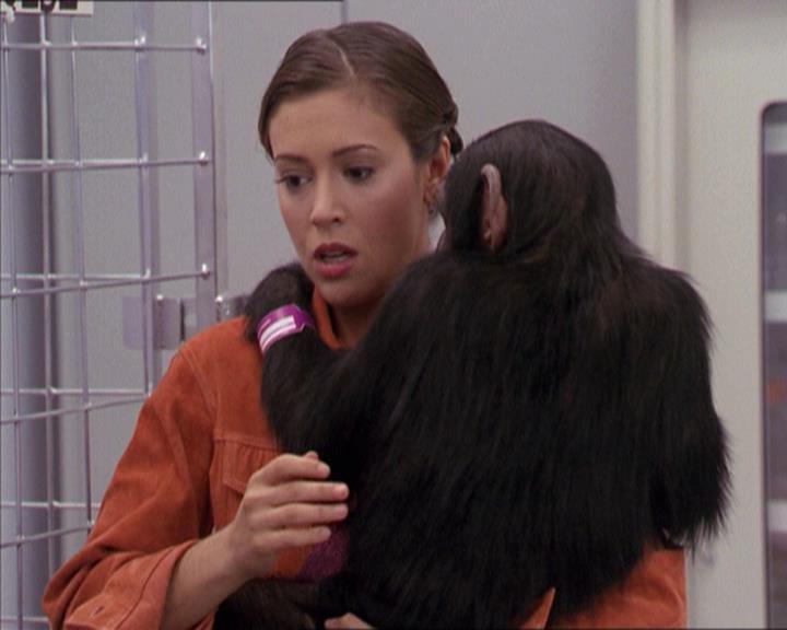 Charmed-Online-dot-220AstralMonkeys1055.jpg Charmed-Online-dot-220AstralMonkeys1055.jpg