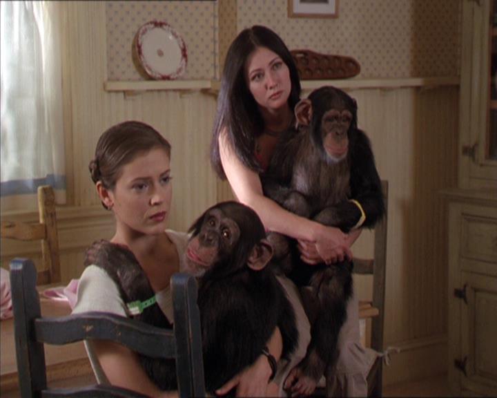 Charmed-Online-dot-220AstralMonkeys1496.jpg Charmed-Online-dot-220AstralMonkeys1496.jpg