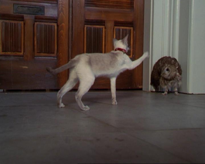 Charmed-Online_dot_net-3x02MagicHour0260.jpg Charmed-Online_dot_net-3x02MagicHour0260.jpg