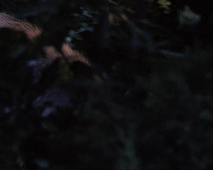 Charmed-Online_dot_net-3x02MagicHour0328.jpg Charmed-Online_dot_net-3x02MagicHour0328.jpg