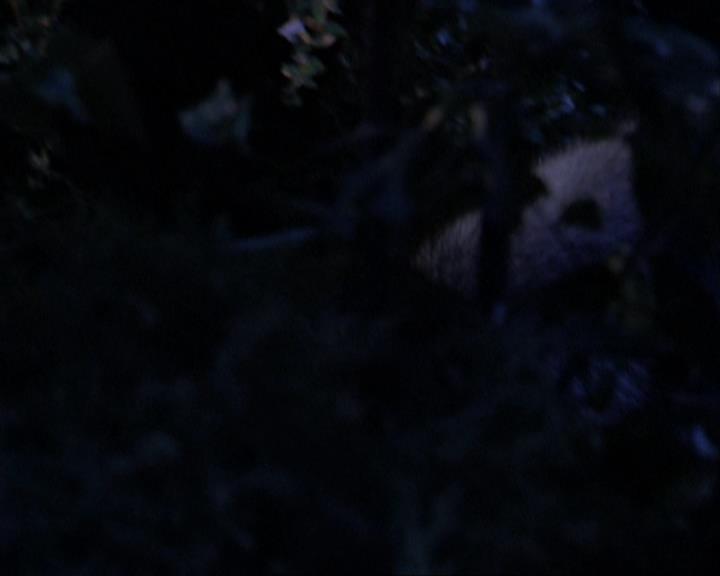 Charmed-Online_dot_net-3x02MagicHour0883.jpg Charmed-Online_dot_net-3x02MagicHour0883.jpg