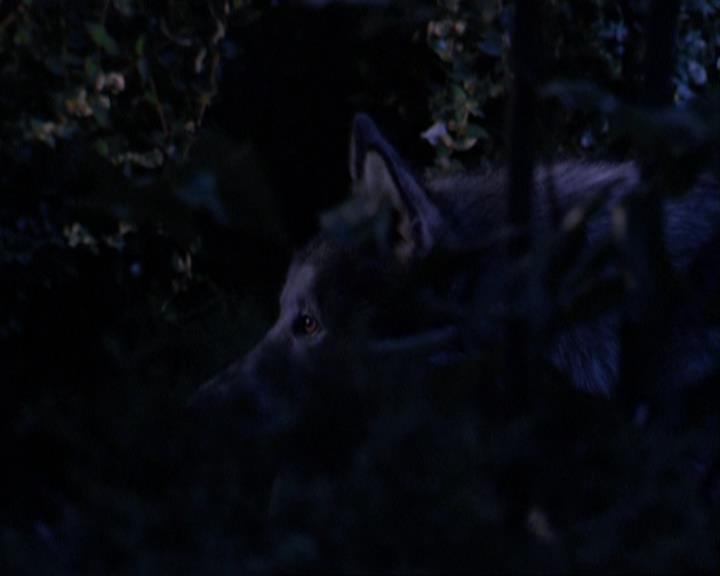 Charmed-Online_dot_net-3x02MagicHour0884.jpg Charmed-Online_dot_net-3x02MagicHour0884.jpg