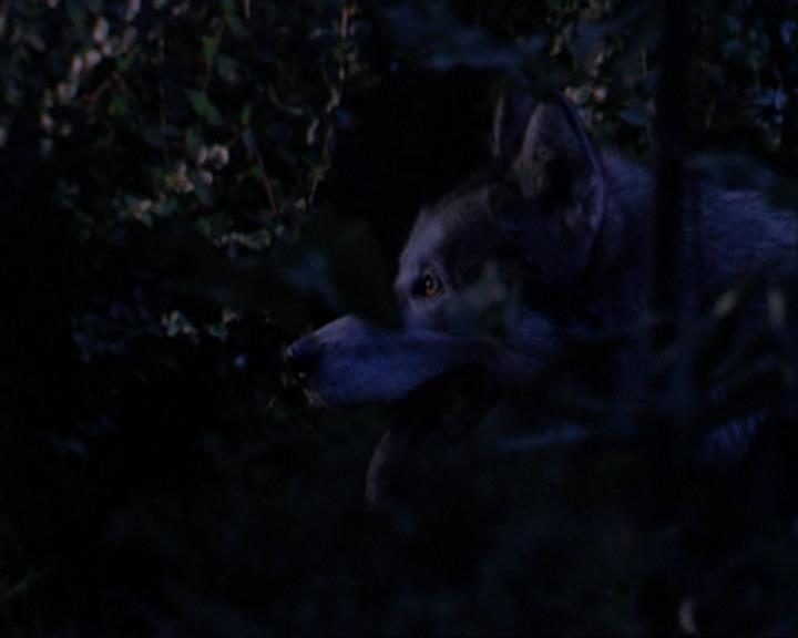 Charmed-Online_dot_net-3x02MagicHour0885.jpg Charmed-Online_dot_net-3x02MagicHour0885.jpg