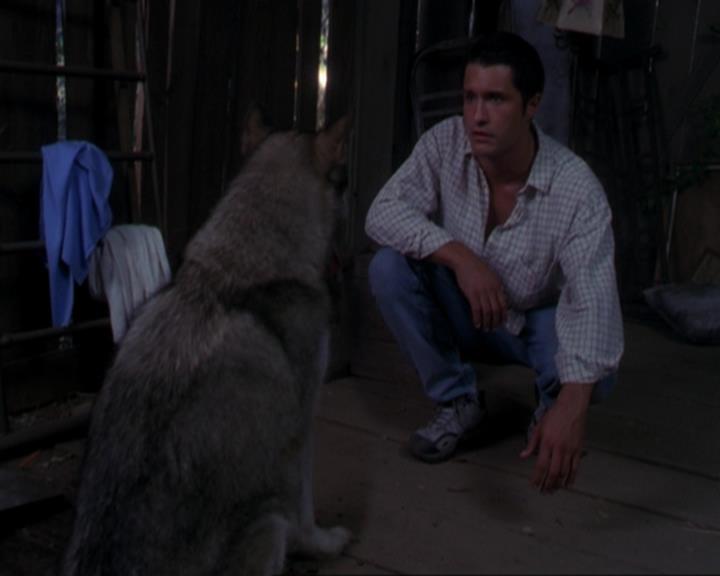 Charmed-Online_dot_net-3x02MagicHour0915.jpg Charmed-Online_dot_net-3x02MagicHour0915.jpg