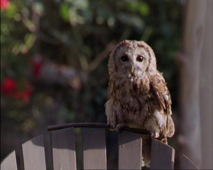 Charmed-Online_dot_net-3x02MagicHour1282.jpg Charmed-Online_dot_net-3x02MagicHour1282.jpg