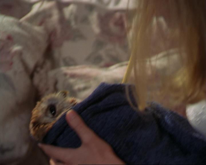 Charmed-Online_dot_net-3x02MagicHour1879.jpg Charmed-Online_dot_net-3x02MagicHour1879.jpg