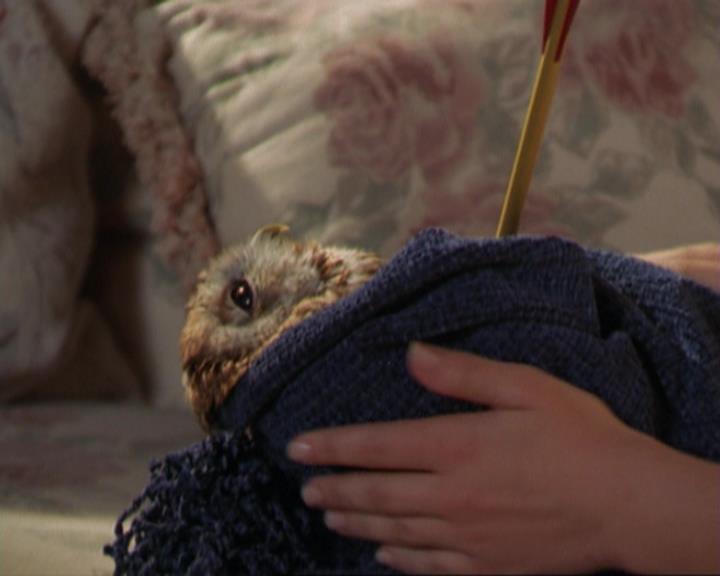 Charmed-Online_dot_net-3x02MagicHour1882.jpg Charmed-Online_dot_net-3x02MagicHour1882.jpg