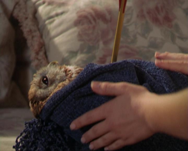 Charmed-Online_dot_net-3x02MagicHour1883.jpg Charmed-Online_dot_net-3x02MagicHour1883.jpg