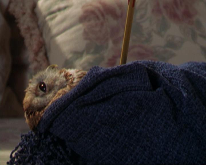 Charmed-Online_dot_net-3x02MagicHour1885.jpg Charmed-Online_dot_net-3x02MagicHour1885.jpg