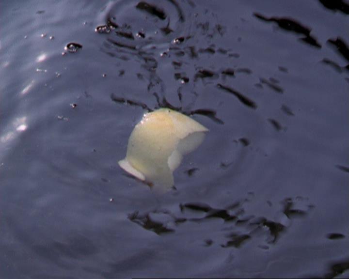 Charmed-Online_dot_net-3x04AllHalliwellsEve1441.jpg Charmed-Online_dot_net-3x04AllHalliwellsEve1441.jpg