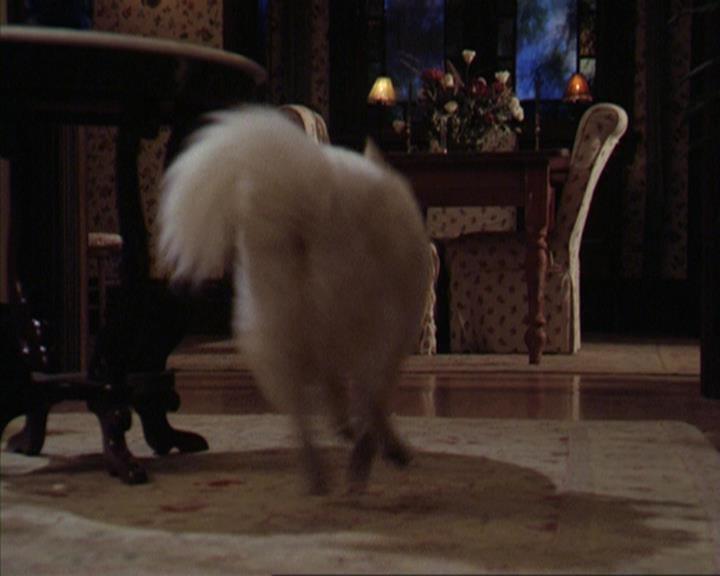 Charmed-Online-dot-312WrestlingWithDemons2116.jpg Charmed-Online-dot-312WrestlingWithDemons2116.jpg