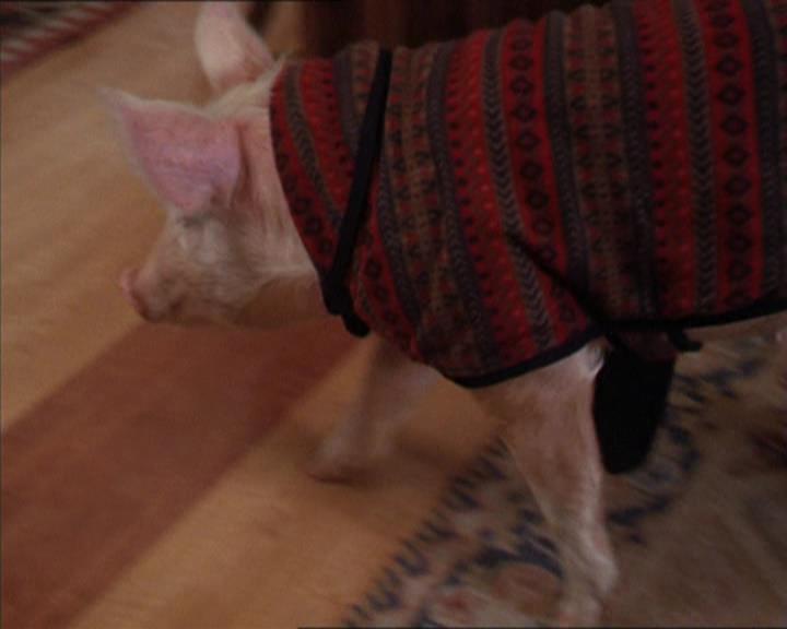 Charmed-Online-dot-313BrideAndGloom1438.jpg Charmed-Online-dot-313BrideAndGloom1438.jpg