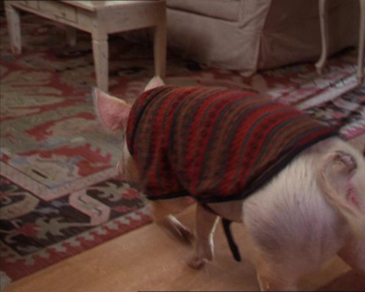 Charmed-Online-dot-313BrideAndGloom1439.jpg Charmed-Online-dot-313BrideAndGloom1439.jpg