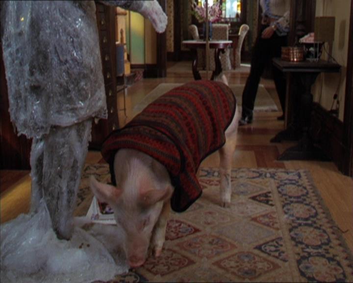 Charmed-Online-dot-313BrideAndGloom1518.jpg Charmed-Online-dot-313BrideAndGloom1518.jpg