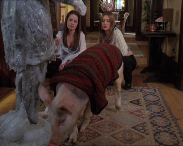 Charmed-Online-dot-313BrideAndGloom1527.jpg Charmed-Online-dot-313BrideAndGloom1527.jpg