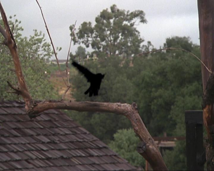 Charmed-Online-dot-314TheGoodTheBadAndTheCursed0000.jpg Charmed-Online-dot-314TheGoodTheBadAndTheCursed0000.jpg