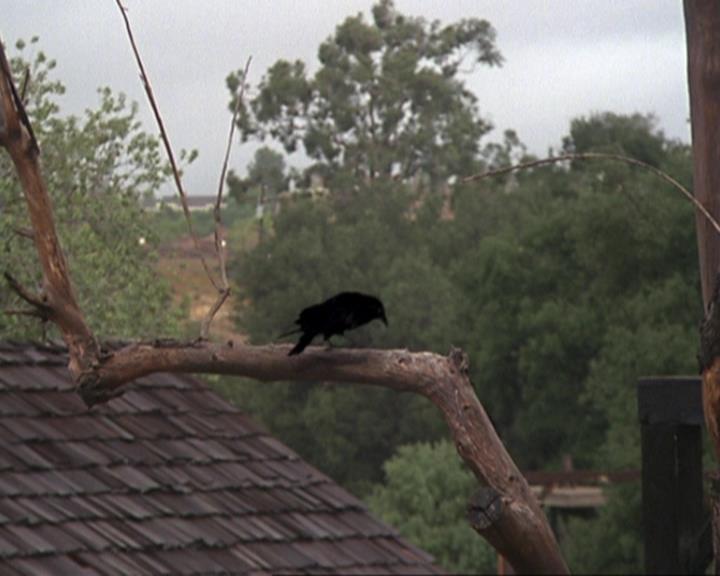 Charmed-Online-dot-314TheGoodTheBadAndTheCursed0001.jpg Charmed-Online-dot-314TheGoodTheBadAndTheCursed0001.jpg