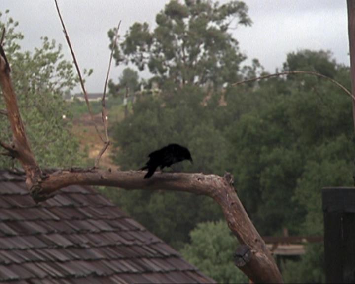 Charmed-Online-dot-314TheGoodTheBadAndTheCursed0002.jpg Charmed-Online-dot-314TheGoodTheBadAndTheCursed0002.jpg