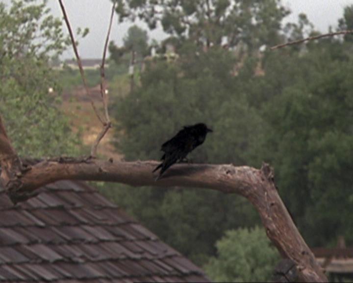 Charmed-Online-dot-314TheGoodTheBadAndTheCursed0015.jpg Charmed-Online-dot-314TheGoodTheBadAndTheCursed0015.jpg