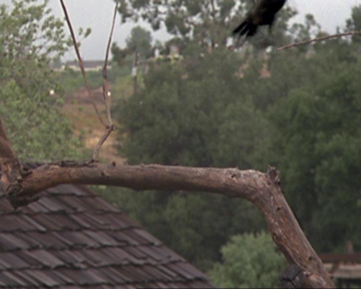 Charmed-Online-dot-314TheGoodTheBadAndTheCursed0016.jpg Charmed-Online-dot-314TheGoodTheBadAndTheCursed0016.jpg