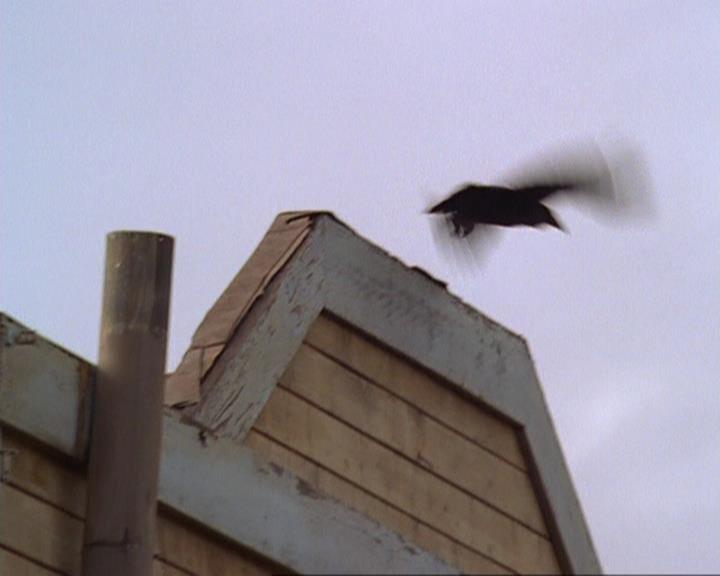 Charmed-Online-dot-314TheGoodTheBadAndTheCursed0841.jpg Charmed-Online-dot-314TheGoodTheBadAndTheCursed0841.jpg