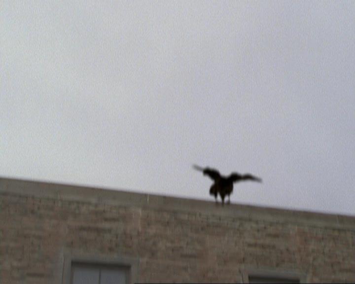 Charmed-Online-dot-314TheGoodTheBadAndTheCursed1278.jpg Charmed-Online-dot-314TheGoodTheBadAndTheCursed1278.jpg