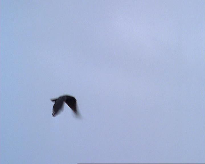 Charmed-Online-dot-314TheGoodTheBadAndTheCursed1290.jpg Charmed-Online-dot-314TheGoodTheBadAndTheCursed1290.jpg