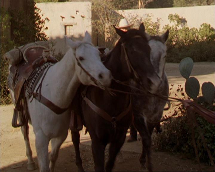 Charmed-Online-dot-314TheGoodTheBadAndTheCursed1471.jpg Charmed-Online-dot-314TheGoodTheBadAndTheCursed1471.jpg