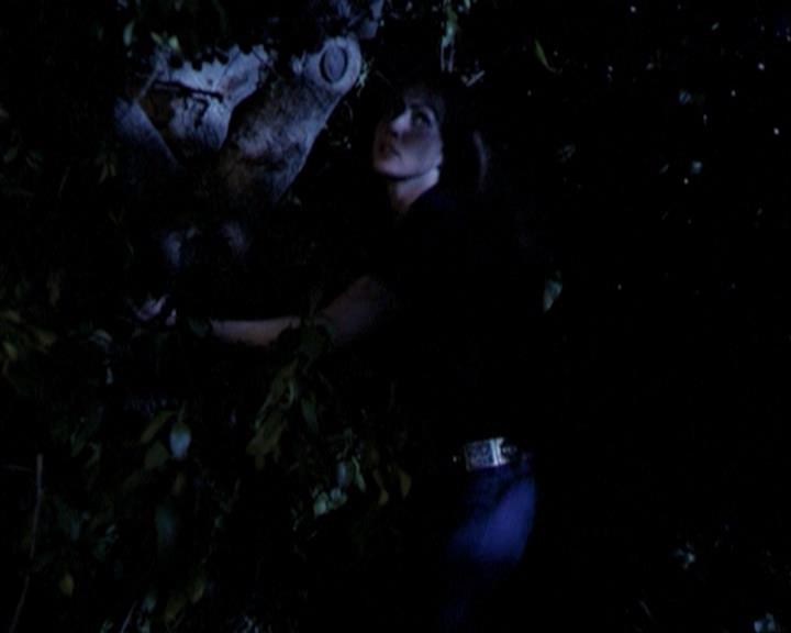 Charmed-Online-dot-315JustHarried1780.jpg Charmed-Online-dot-315JustHarried1780.jpg