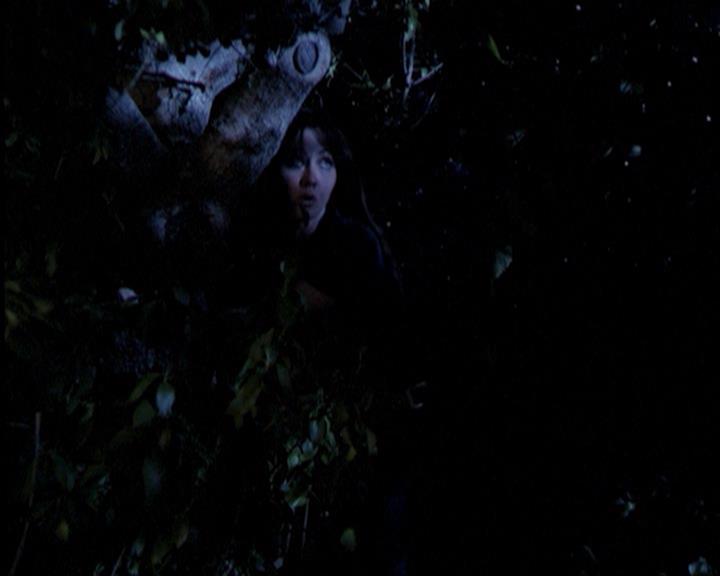 Charmed-Online-dot-315JustHarried1783.jpg Charmed-Online-dot-315JustHarried1783.jpg