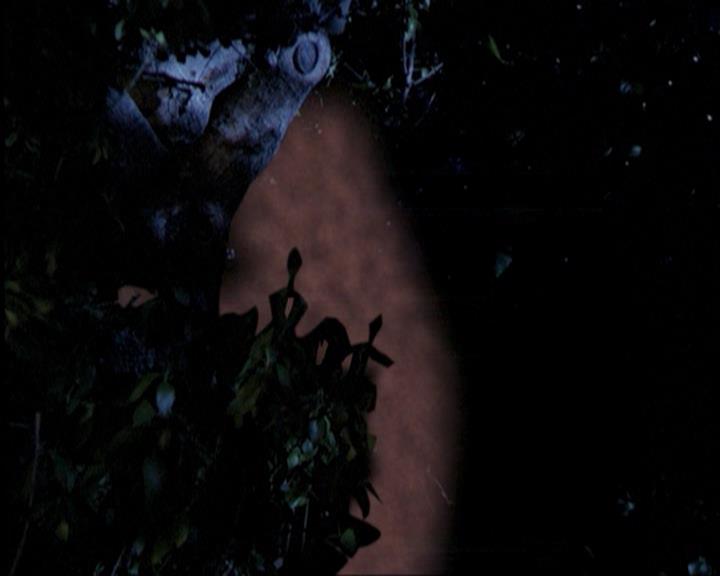 Charmed-Online-dot-315JustHarried1784.jpg Charmed-Online-dot-315JustHarried1784.jpg