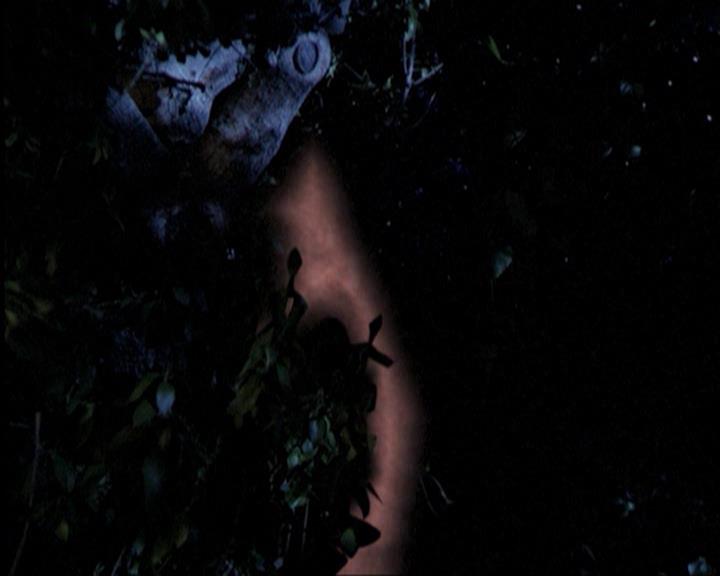 Charmed-Online-dot-315JustHarried1785.jpg Charmed-Online-dot-315JustHarried1785.jpg