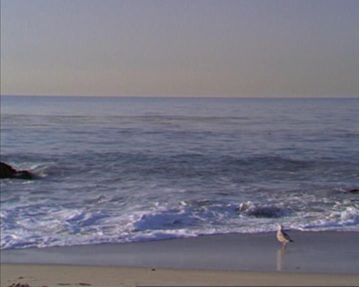 Charmed-Online-dot-316DeathTakesAHalliwell2238.jpg Charmed-Online-dot-316DeathTakesAHalliwell2238.jpg