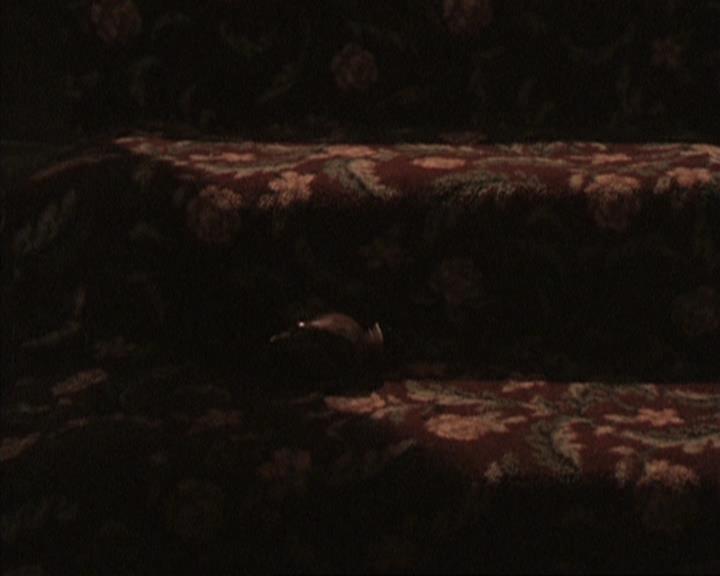 Charmed-Online-dot-317Pre-Witched1757.jpg Charmed-Online-dot-317Pre-Witched1757.jpg