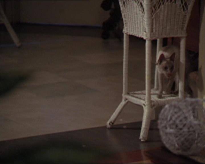 Charmed-Online-dot-320LookWhosBarking1027.jpg Charmed-Online-dot-320LookWhosBarking1027.jpg