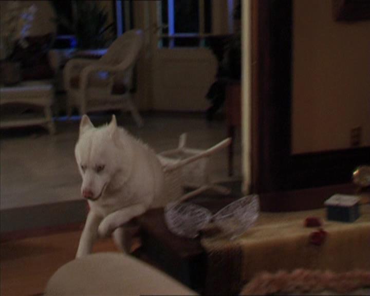 Charmed-Online-dot-320LookWhosBarking1034.jpg Charmed-Online-dot-320LookWhosBarking1034.jpg