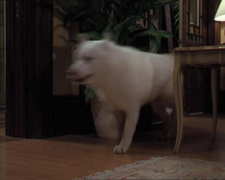 Charmed-Online-dot-320LookWhosBarking1036.jpg Charmed-Online-dot-320LookWhosBarking1036.jpg