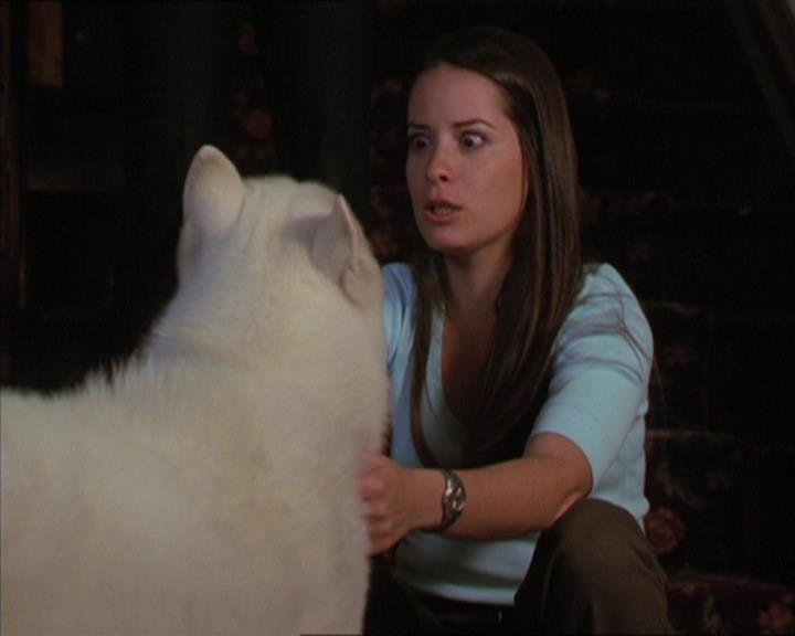 Charmed-Online-dot-320LookWhosBarking1065.jpg Charmed-Online-dot-320LookWhosBarking1065.jpg