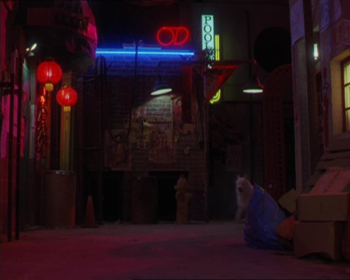 Charmed-Online-dot-320LookWhosBarking1152.jpg Charmed-Online-dot-320LookWhosBarking1152.jpg