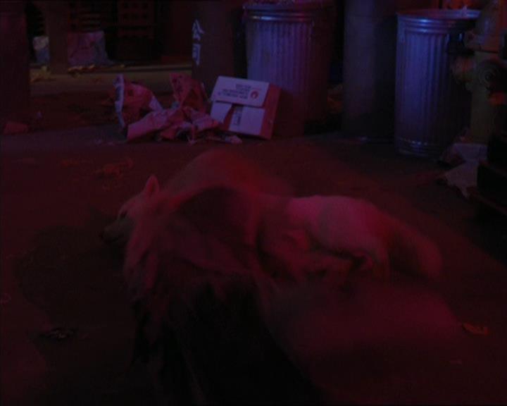 Charmed-Online-dot-320LookWhosBarking1155.jpg Charmed-Online-dot-320LookWhosBarking1155.jpg