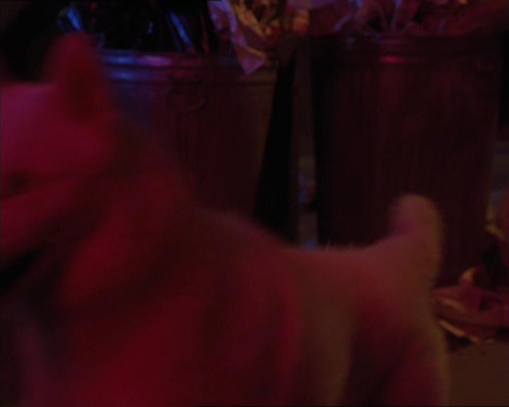 Charmed-Online-dot-320LookWhosBarking1200.jpg Charmed-Online-dot-320LookWhosBarking1200.jpg